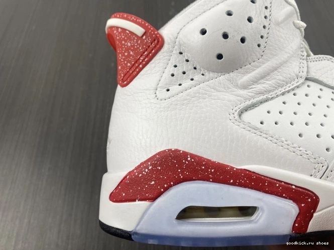 Rep Retro 6 Hare Jordan CT8529-162 0629